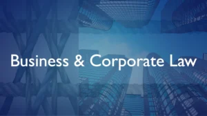 Business-and-Corporate-Lawer