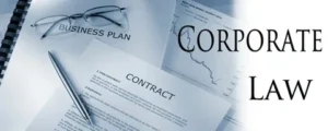 Corporate and Joint Ventures Lawyer